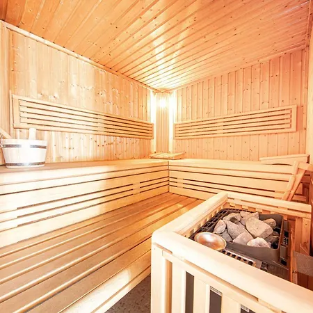 Rex Muschel Sellin (Rugen)